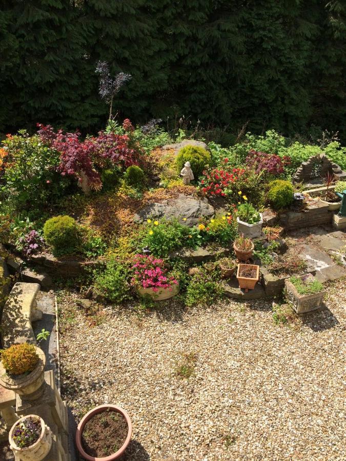 Rowan House Bed Breakfast Main House & Self Contained Self Catering Apartment Cymmer エクステリア 写真